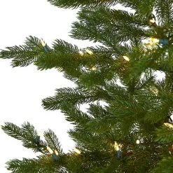 Christmas Trees><noscript><img width=