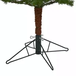 Christmas Trees><noscript><img width=