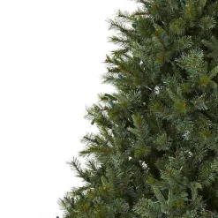 Christmas Trees><noscript><img width=
