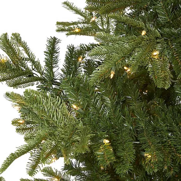 Christmas Trees>Kirklands Home 9 ft. Clear Lit Washington Spruce Christmas Tree
