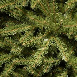 Christmas Trees><noscript><img width=