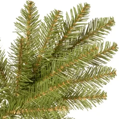 Christmas Trees><noscript><img width=