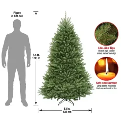 Christmas Trees><noscript><img width=