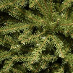 Christmas Trees><noscript><img width=