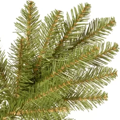Christmas Trees><noscript><img width=