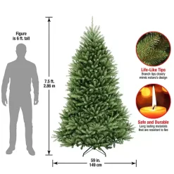 Christmas Trees><noscript><img width=
