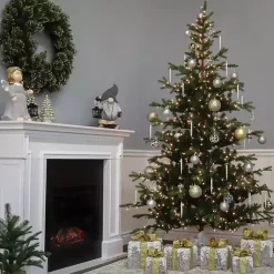 Christmas Trees><noscript><img width=