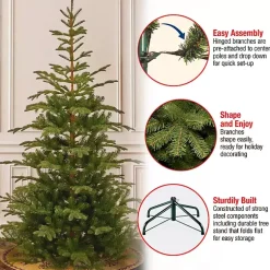 Christmas Trees><noscript><img width=