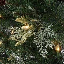 Christmas Trees><noscript><img width=