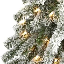 Christmas Trees><noscript><img width=