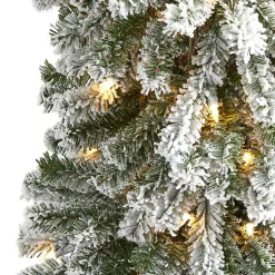 Christmas Trees><noscript><img width=
