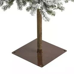 Christmas Trees><noscript><img width=