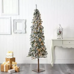 Christmas Trees><noscript><img width=