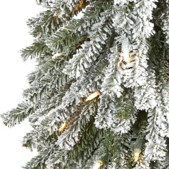 Christmas Trees><noscript><img width=