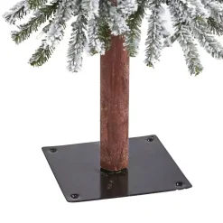 Christmas Trees><noscript><img width=