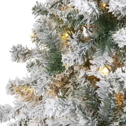 Christmas Trees><noscript><img width=