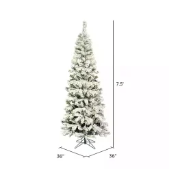 Christmas Trees><noscript><img width=