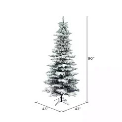 Christmas Trees><noscript><img width=