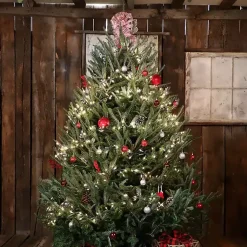 Christmas Trees>Kirklands Home 7 ft. Fresh Cut Fraser Fir Christmas Tree