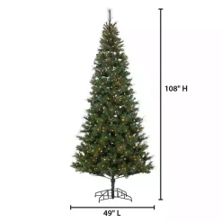 Christmas Trees><noscript><img width=