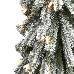Christmas Trees><noscript><img width=