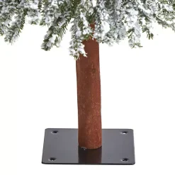Christmas Trees><noscript><img width=