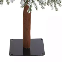 Christmas Trees><noscript><img width=