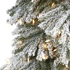 Christmas Trees><noscript><img width=