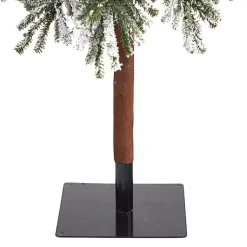 Christmas Trees><noscript><img width=