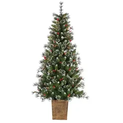 Christmas Trees>Kirklands Home 6 ft. Lit Glazier Pine Planter Christmas Tree