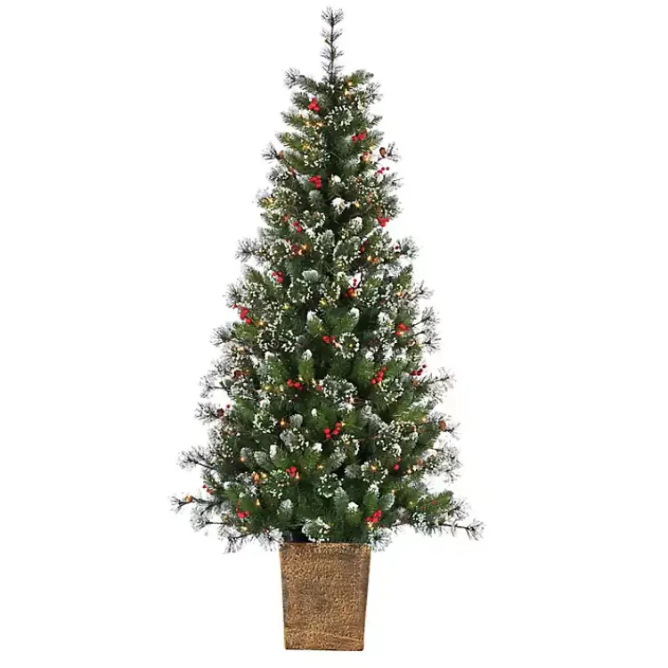 Christmas Trees>Kirklands Home 6 ft. Lit Glazier Pine Planter Christmas Tree