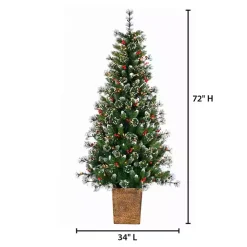 Christmas Trees>Kirklands Home 6 ft. Lit Glazier Pine Planter Christmas Tree