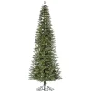 Christmas Trees>Kirklands Home 10 ft. Lit Narrow Jackson Pine Christmas Tree