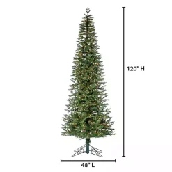 Christmas Trees>Kirklands Home 10 ft. Lit Narrow Jackson Pine Christmas Tree