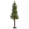 Christmas Trees>Kirklands Home 5 ft. Lit Twinkling Alaskan Alpine Christmas Tree