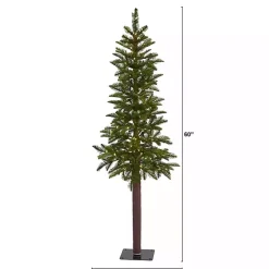 Christmas Trees>Kirklands Home 5 ft. Lit Twinkling Alaskan Alpine Christmas Tree