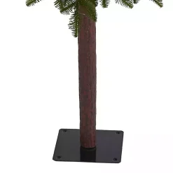 Christmas Trees><noscript><img width=
