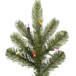 Christmas Trees><noscript><img width=