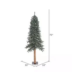 Christmas Trees><noscript><img width=
