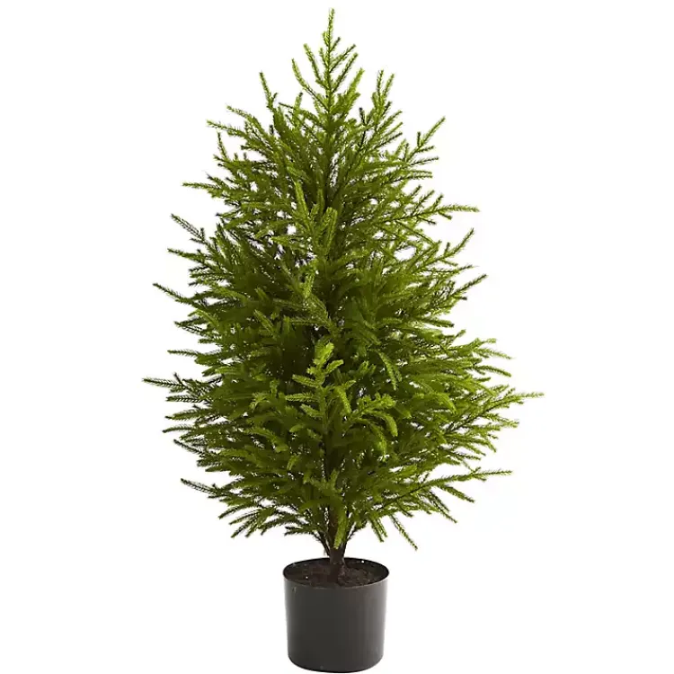 Christmas Arrangements & Garland>Kirklands Home 3 ft. Norfolk Island Pine Potted Christmas Tree Green