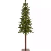 Christmas Trees>Kirklands Home 7 ft. Pre-Lit Alaskan Alpine Christmas Tree