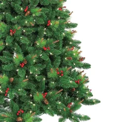 Christmas Trees><noscript><img width=
