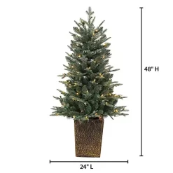Christmas Trees><noscript><img width=