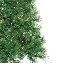 Christmas Trees><noscript><img width=