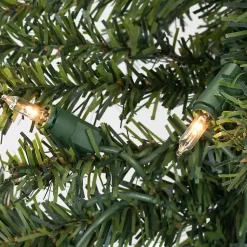 Christmas Trees><noscript><img width=