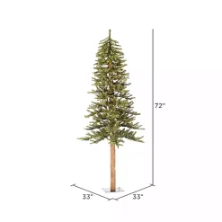 Christmas Trees><noscript><img width=