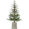 Christmas Arrangements & Garland>Kirklands Home 3 ft. Pre-Lit Cut Frosted Pine Christmas Tree
