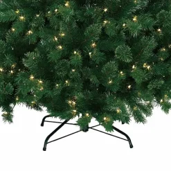 Christmas Trees><noscript><img width=