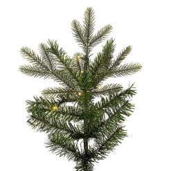 Christmas Trees><noscript><img width=