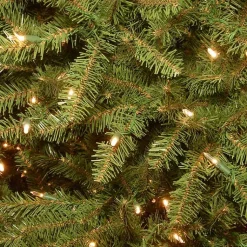 Christmas Trees><noscript><img width=